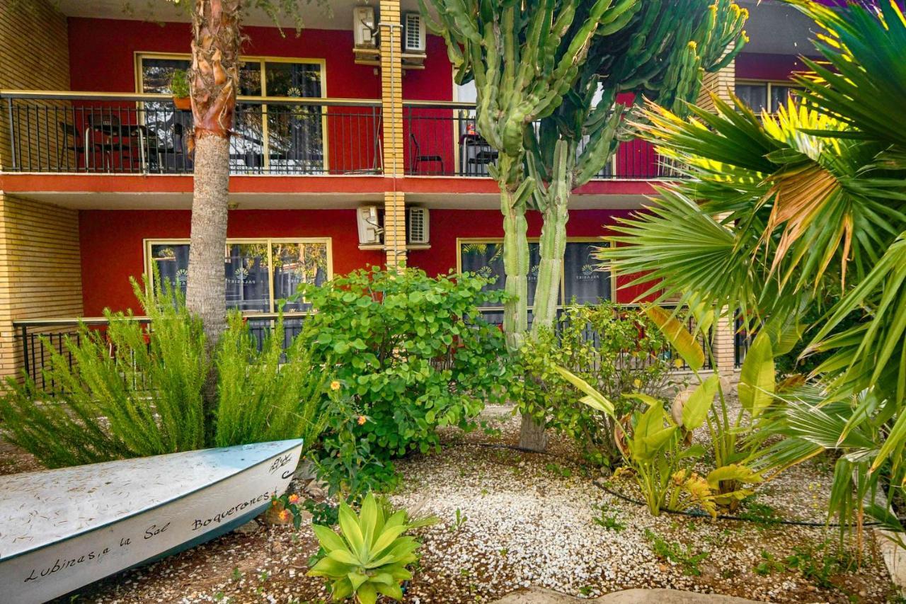 Apartamentos Palasiet Benidorm Exterior photo